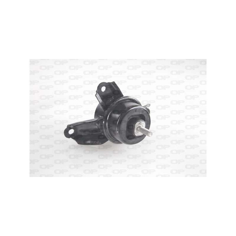 Supporto Motore EMS4211.00