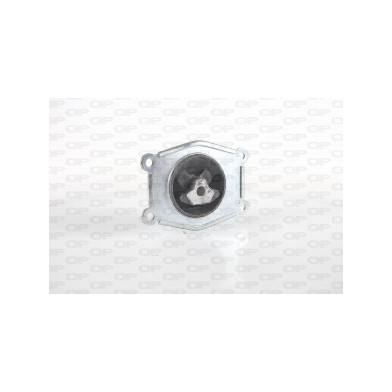Supporto Motore EMS4215.00