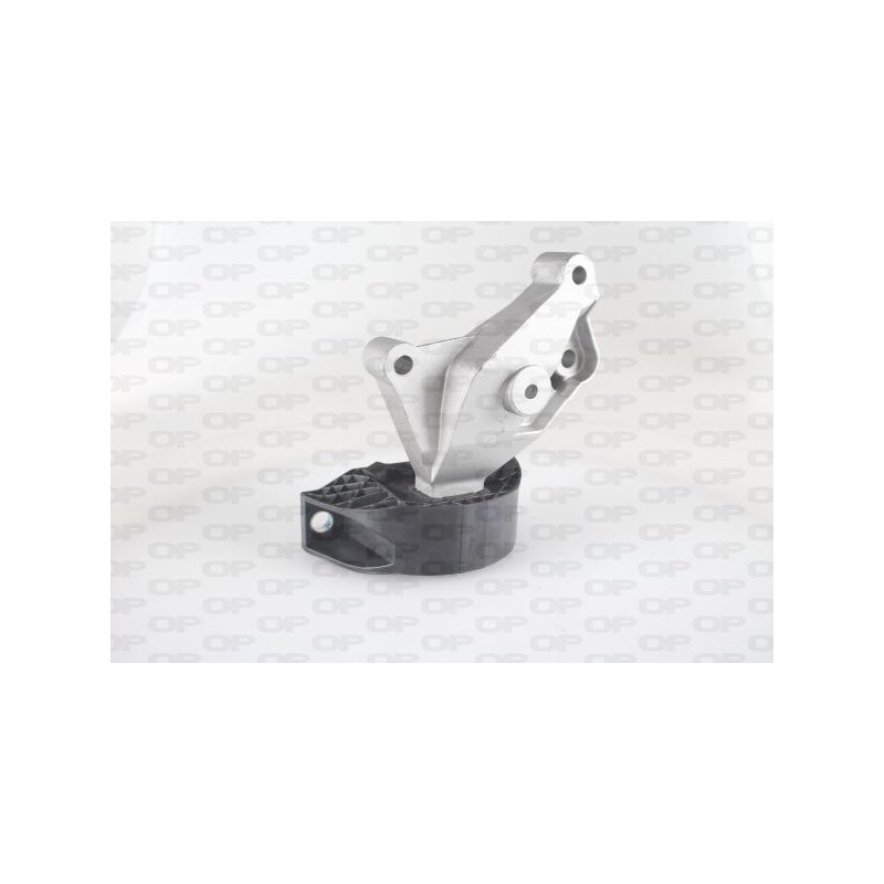 Supporto Motore EMS4228.00