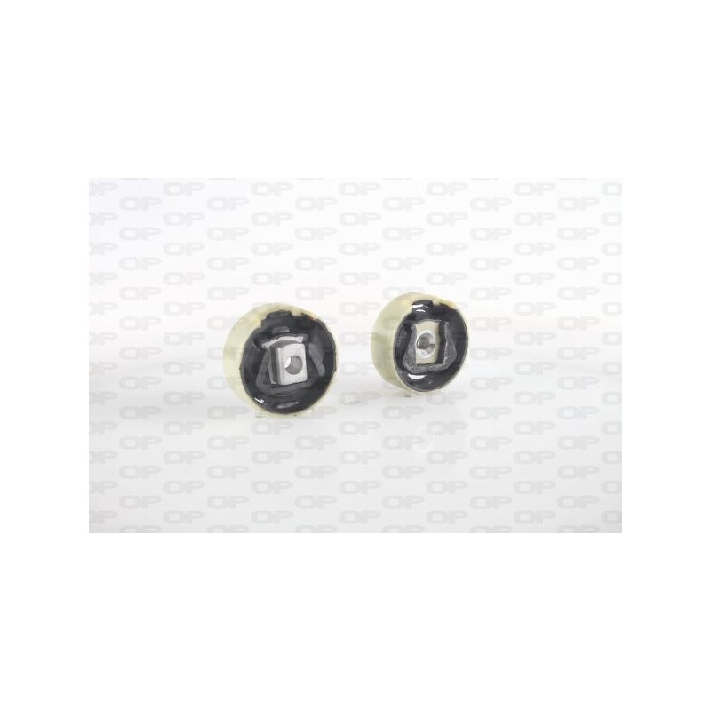 Supporto Motore EMS4229.00