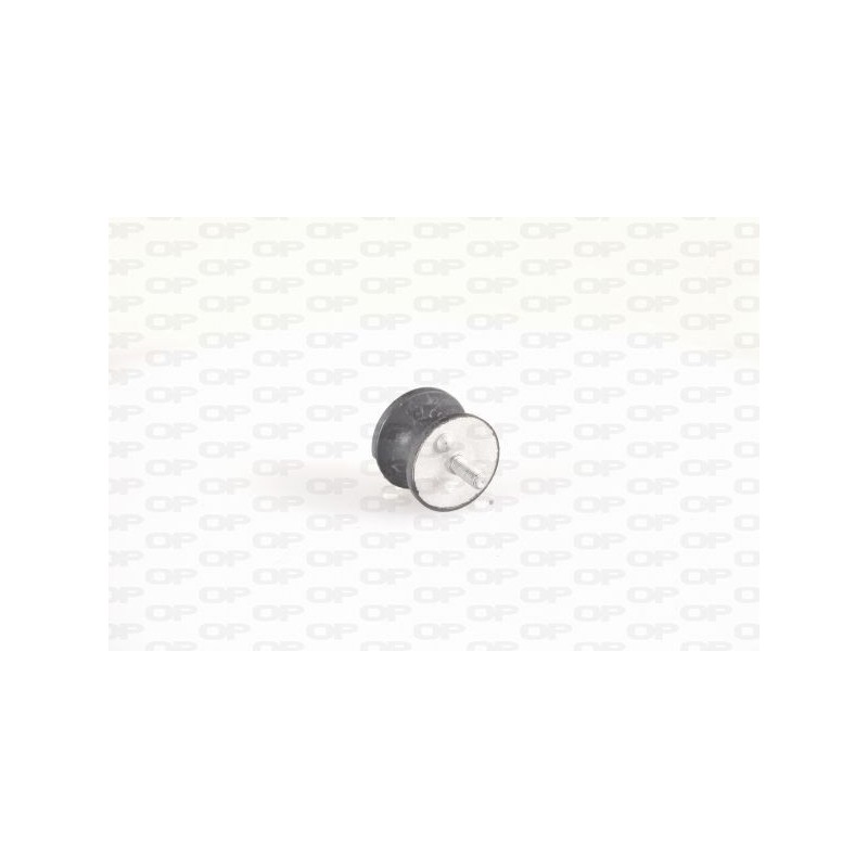 Supporto Motore EMS4239.00