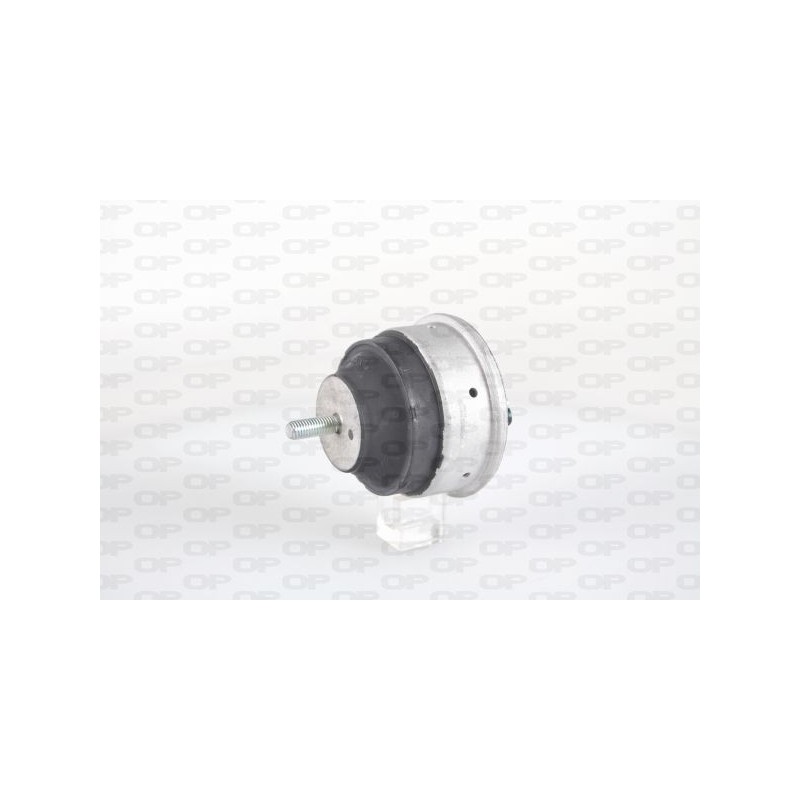 Supporto Motore EMS4241.00