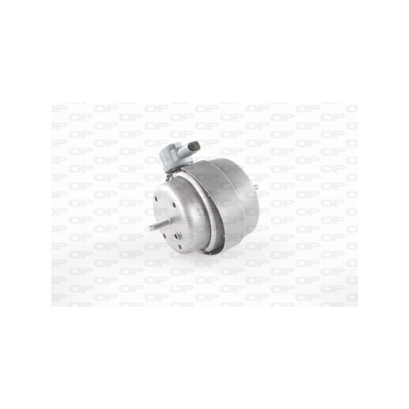 Supporto Motore EMS4243.00