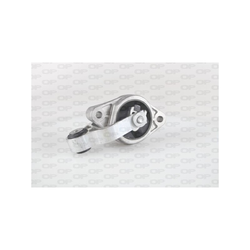 Supporto Motore EMS4246.00