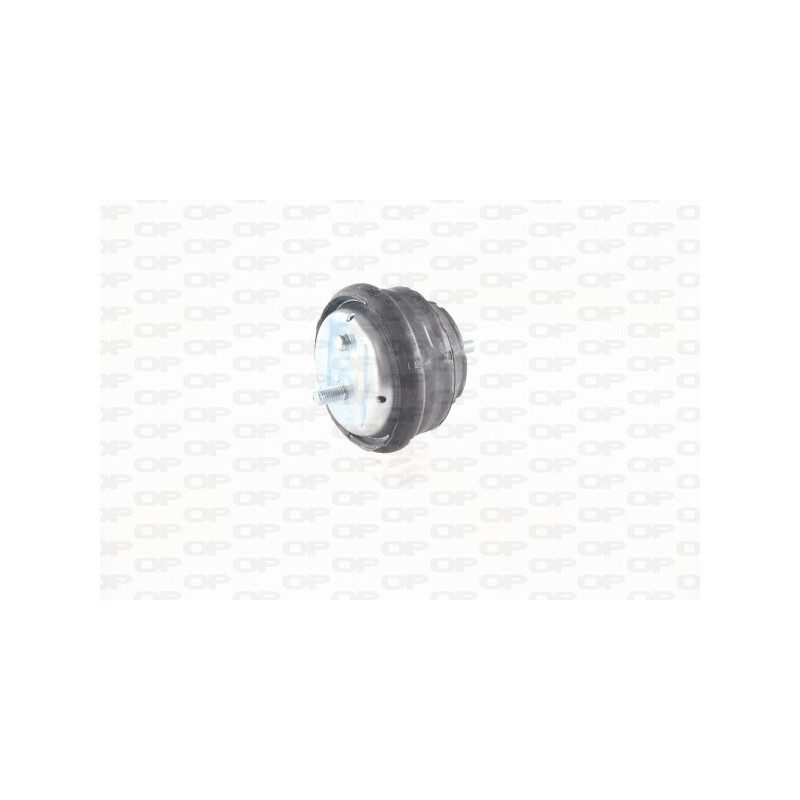 Supporto Motore EMS4249.00