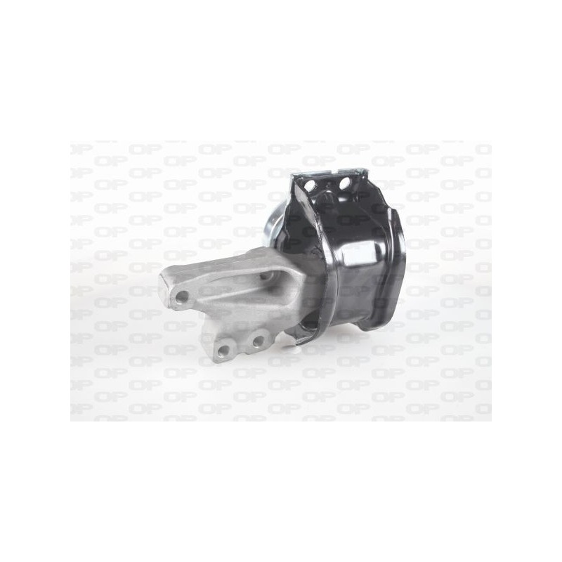 Supporto Motore EMS4251.00