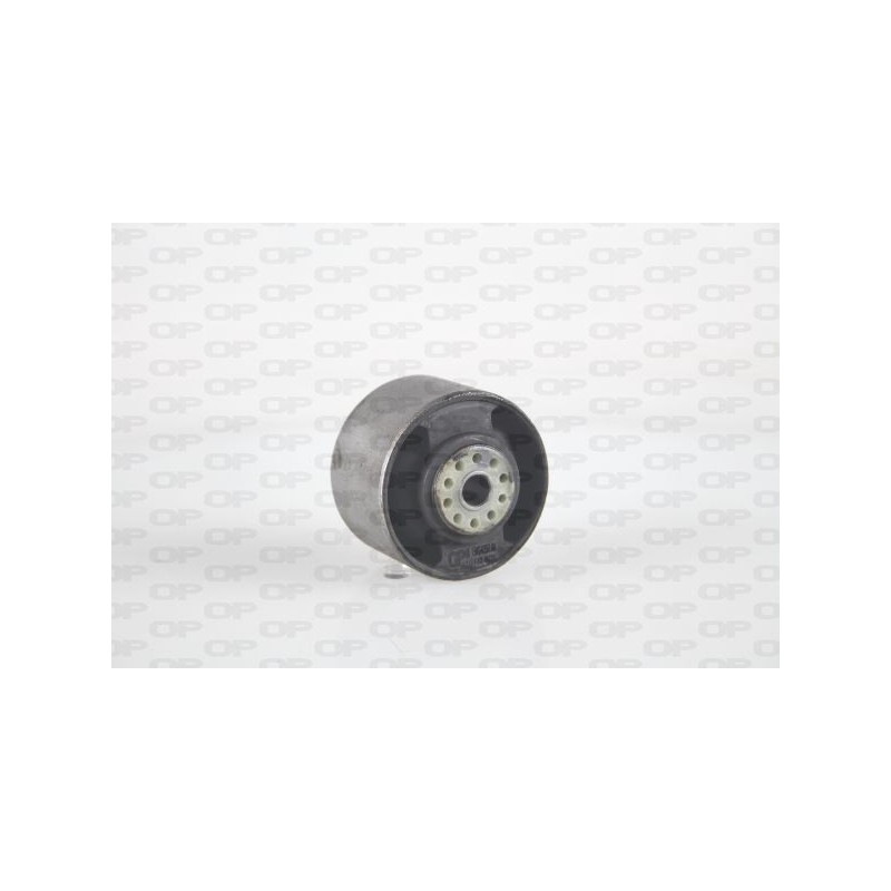 Supporto Motore EMS4252.00