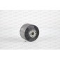 Supporto Motore EMS4252.00
