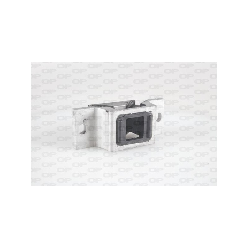 Supporto Motore EMS4255.00