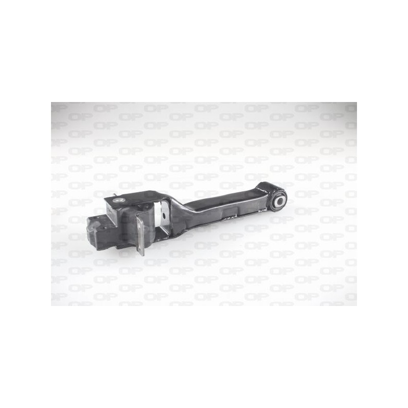 Supporto Motore EMS4257.00