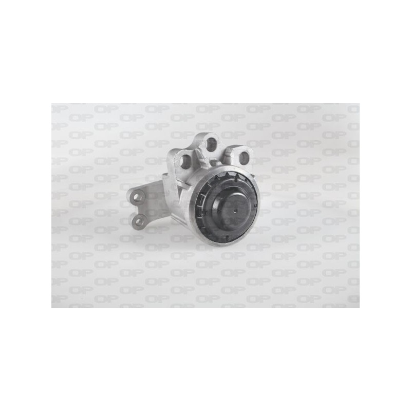 Supporto Motore EMS4261.00
