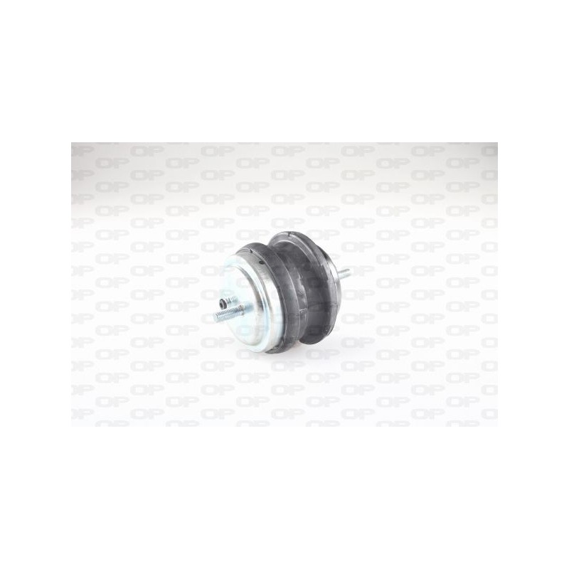 Supporto Motore EMS4262.00