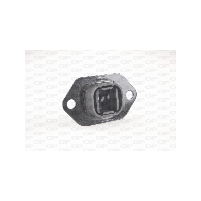Supporto Motore EMS4269.00