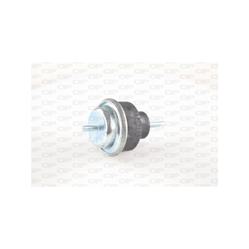 Supporto Motore EMS4276.00