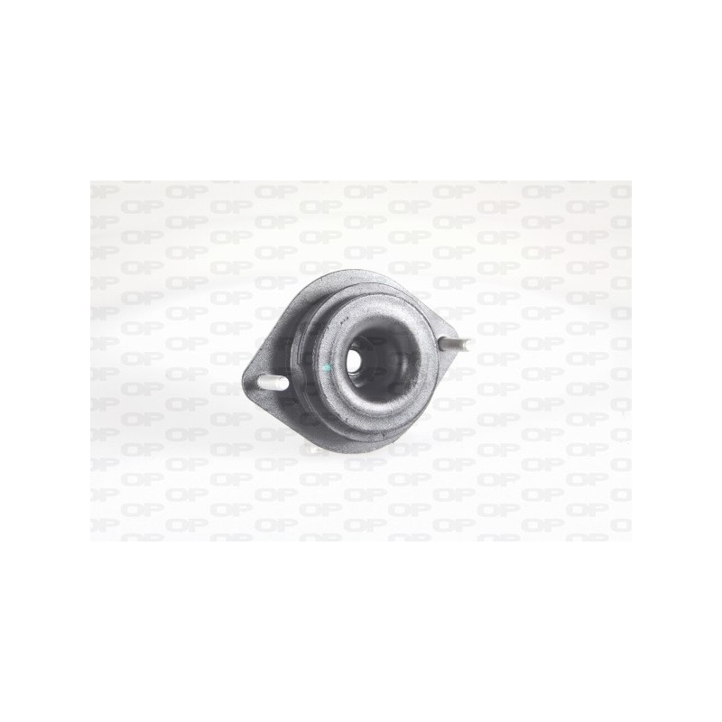 Supporto Motore EMS4277.00