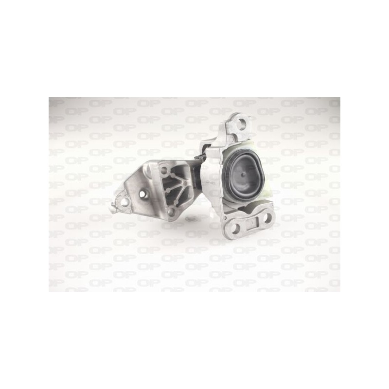 Supporto Motore EMS4288.00