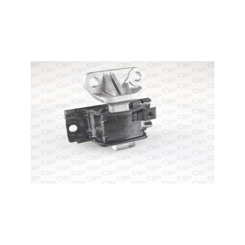 Supporto Motore EMS4295.00