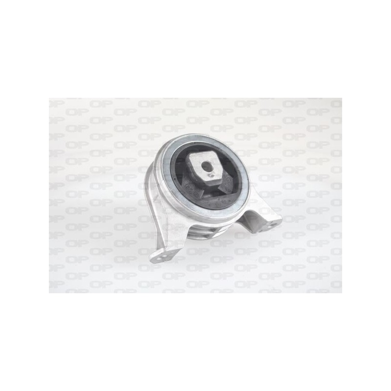 Supporto Motore EMS4300.00