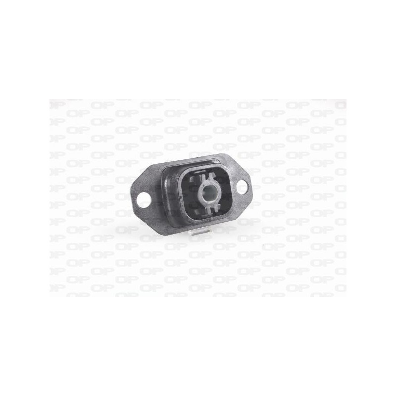 Supporto Motore EMS4304.00