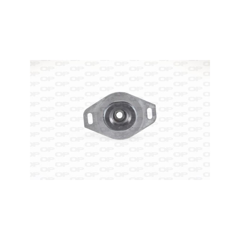 Supporto Motore EMS4308.00
