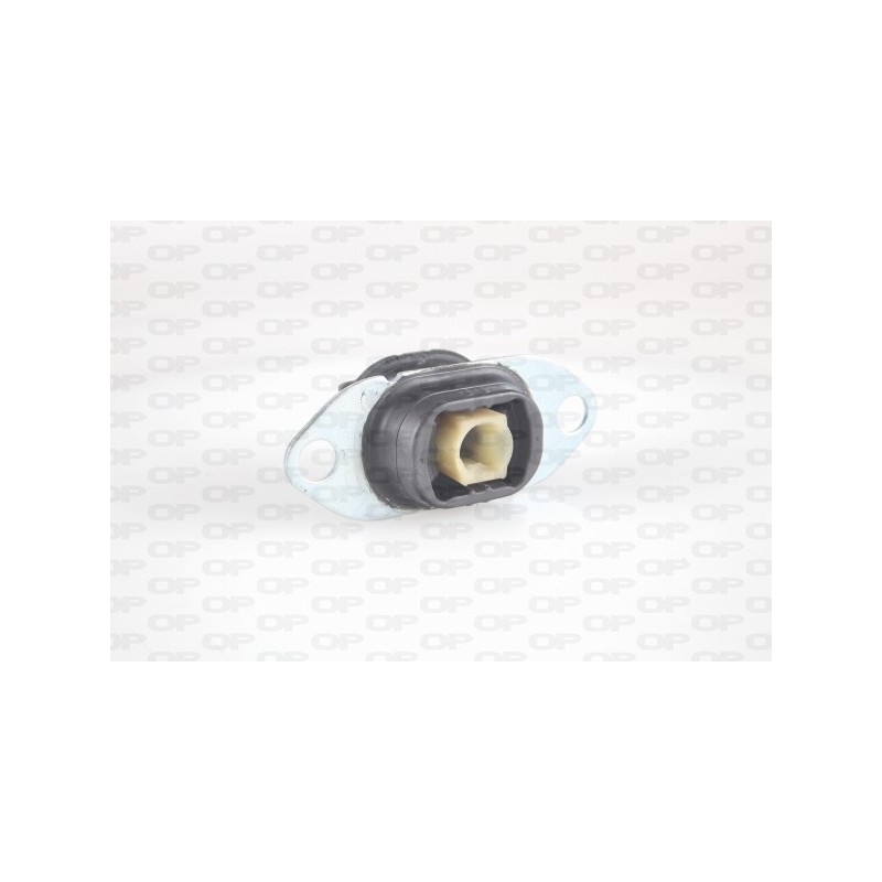Supporto Motore EMS4309.00