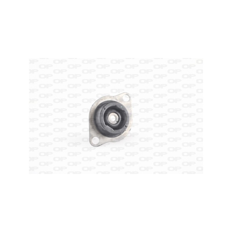 Supporto Motore EMS4310.00