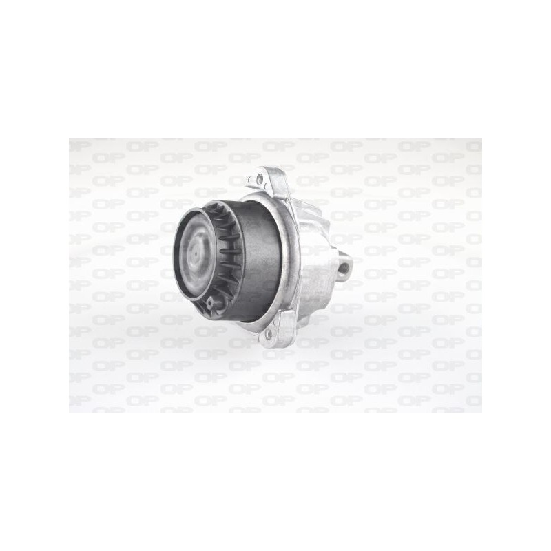 Supporto Motore EMS4315.00