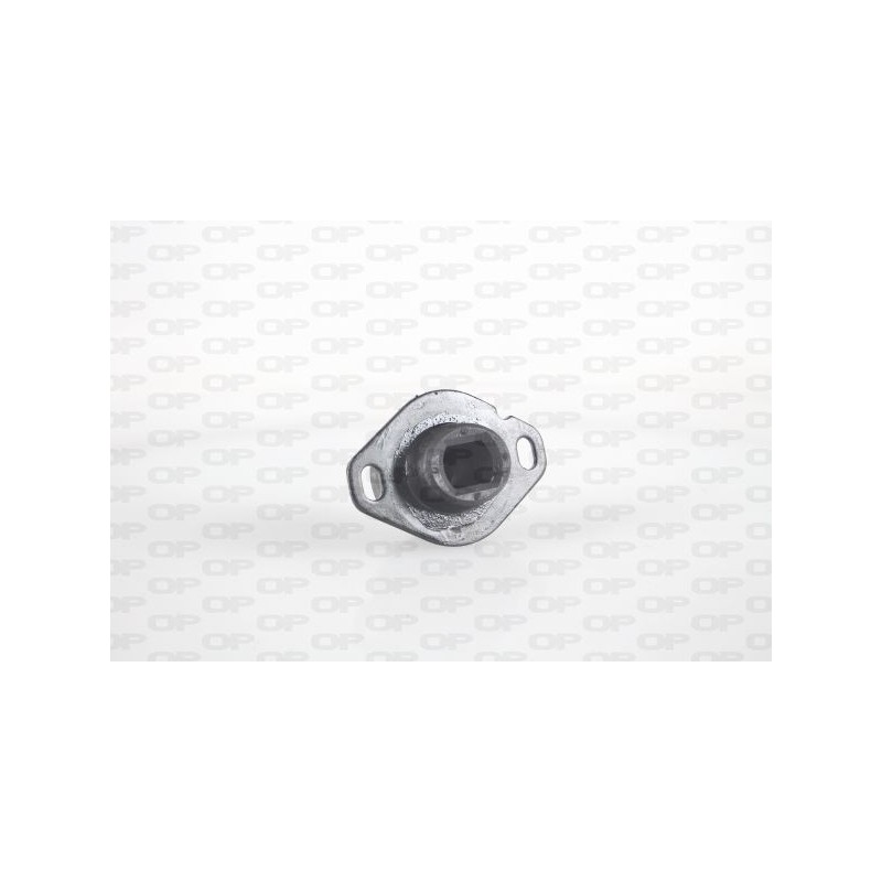 Supporto Motore EMS4317.00
