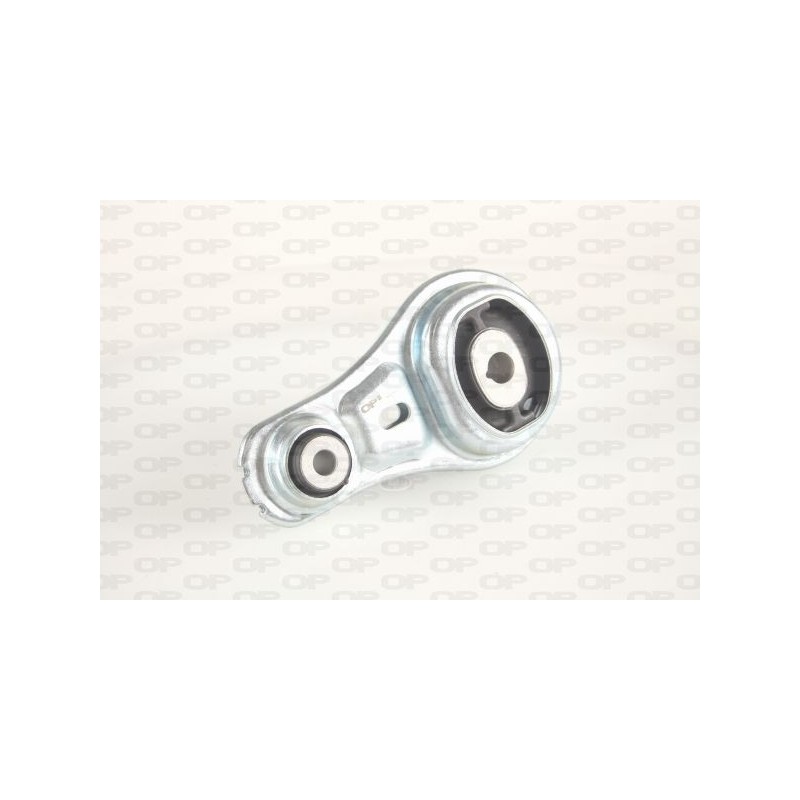 Supporto Motore EMS4318.00