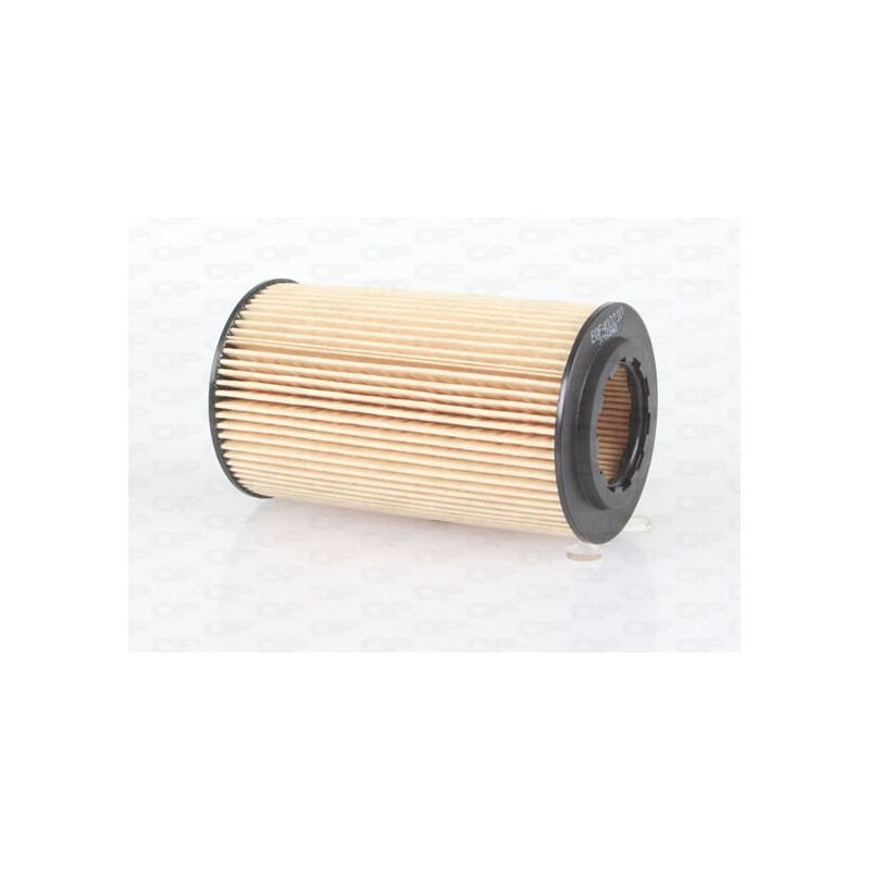 Filtro Olio EOF4022.10