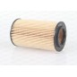 Filtro Olio EOF4022.10