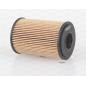 Filtro Olio EOF4045.10