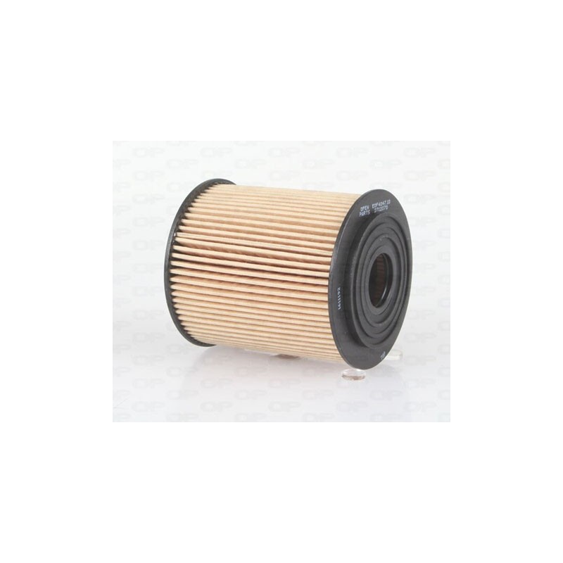Filtro Olio EOF4047.10