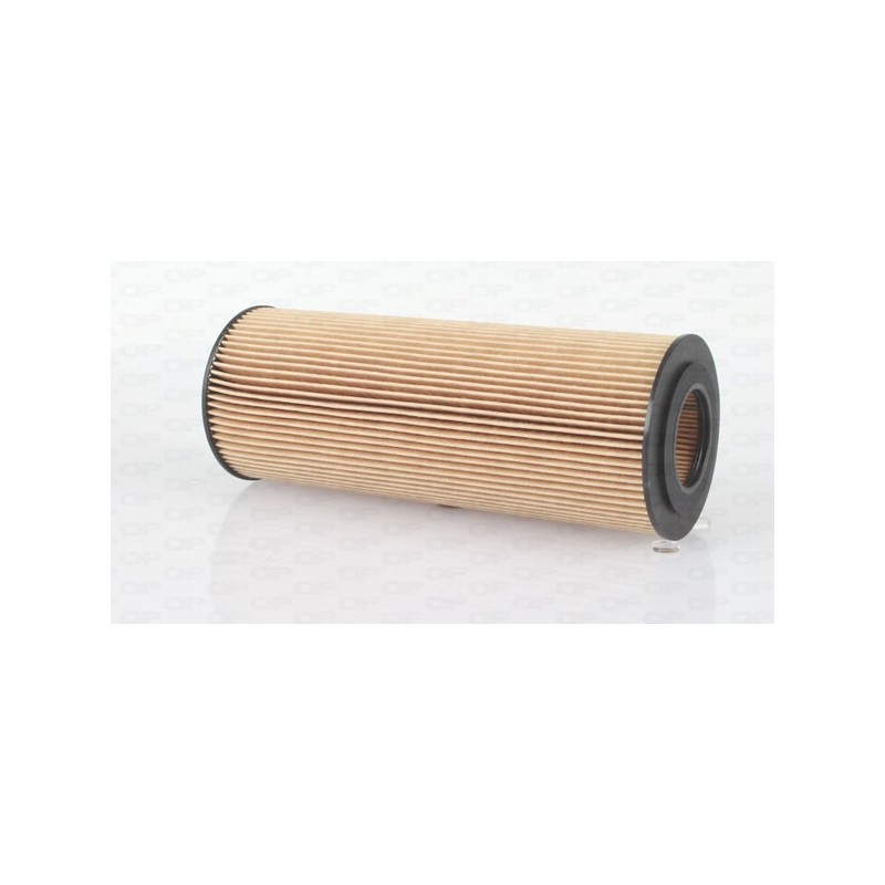 Filtro Olio EOF4053.10