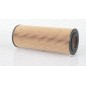 Filtro Olio EOF4053.10