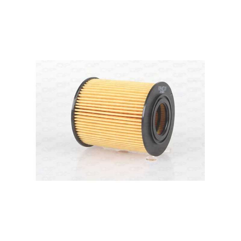 Filtro Olio EOF4073.10
