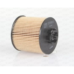 Filtro Olio EOF4098.10 - 80-EOF4098.10 - 80-EOF4098.10