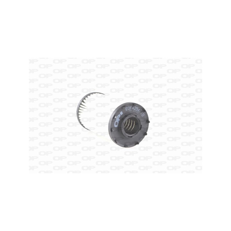 Filtro Olio EOF4254.10