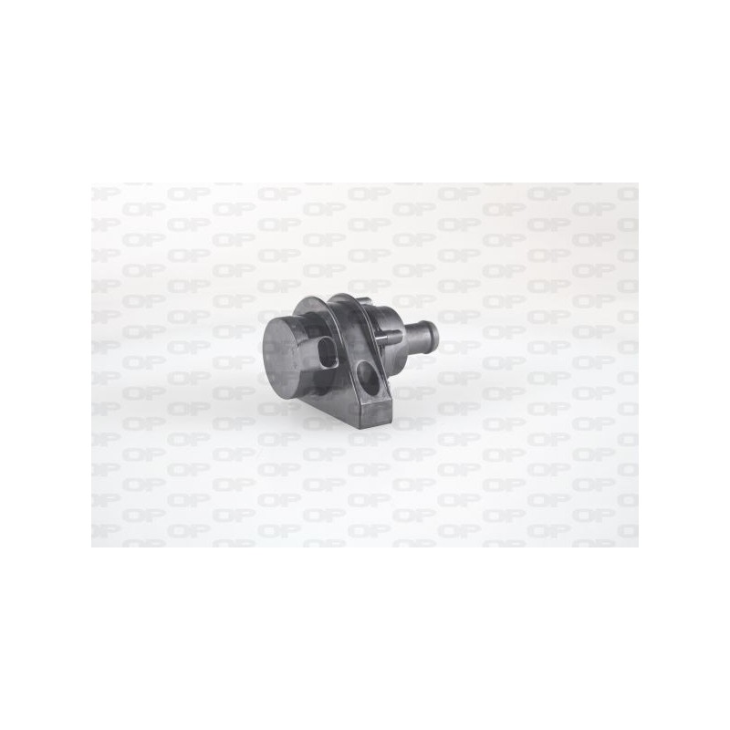 Pompa Acqua Elettrica EWP7024.00