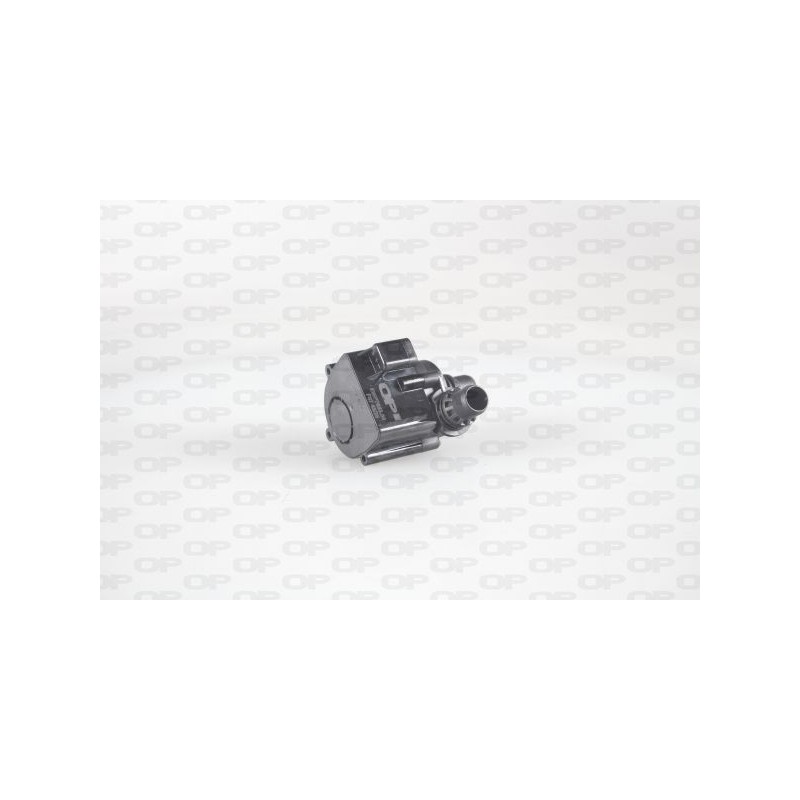 Pompa Acqua Elettrica EWP7033.00