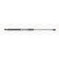 Molla A Gas Portellone posteriore destro/Sinistro per Chrysler-Dodge Journey e Fiat Freemont (Jc) GSR6080.00