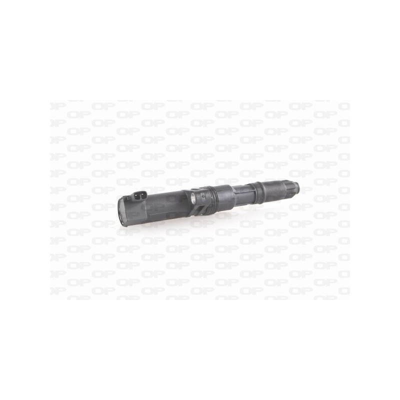 Bobina Accensione IGN1009.00