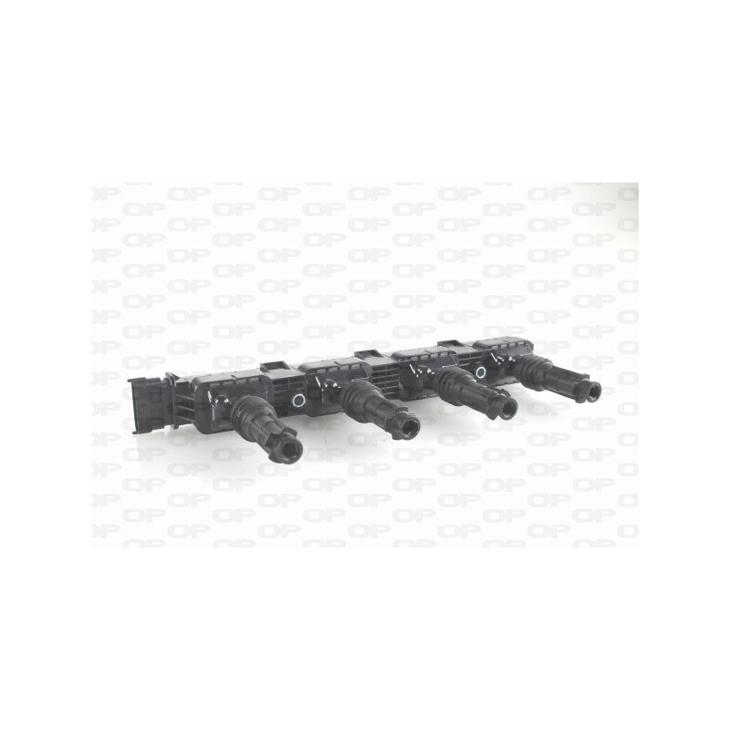 Bobina Accensione IGN1019.00