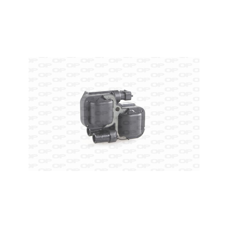 Bobina Accensione IGN1021.00