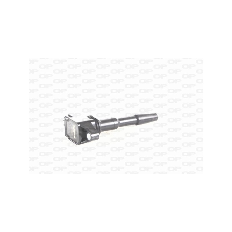 Bobina Accensione IGN1031.00