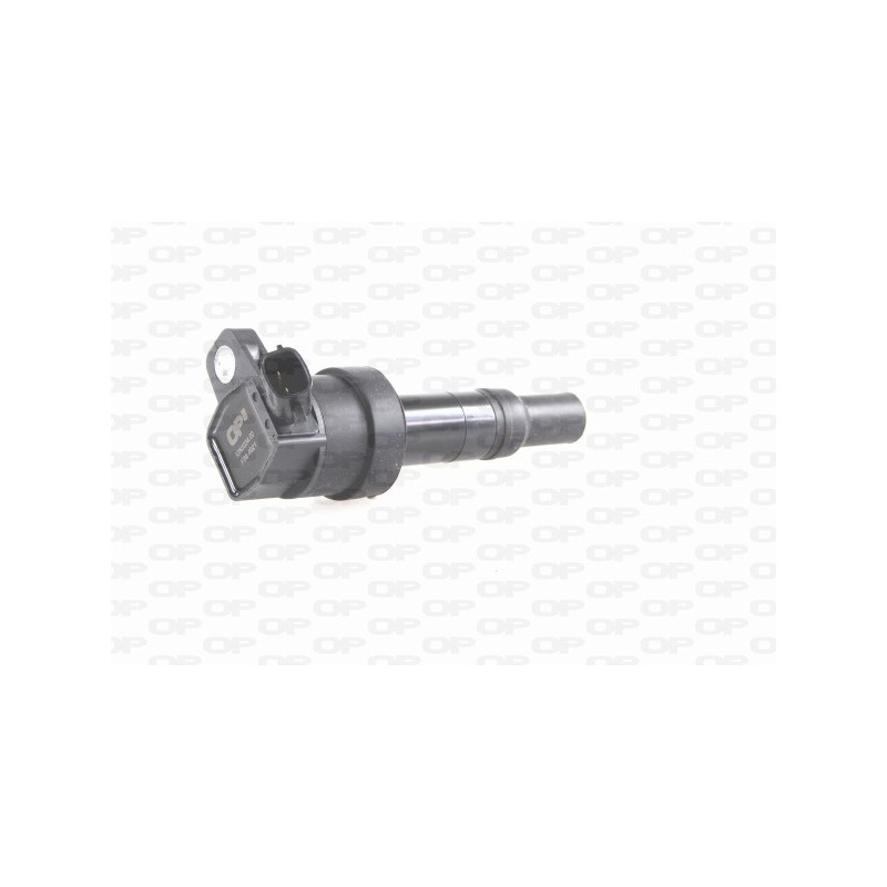 Bobina Accensione IGN1034.00