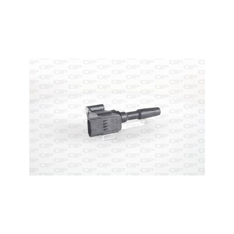Bobina Accensione IGN1071.00