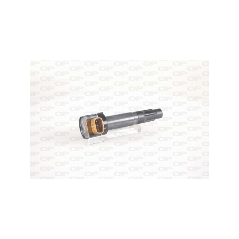 Bobina Accensione IGN1086.00