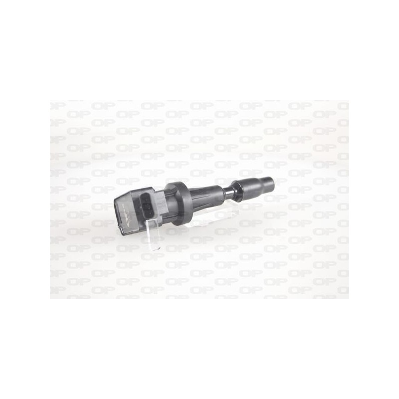Bobina Accensione IGN1095.00