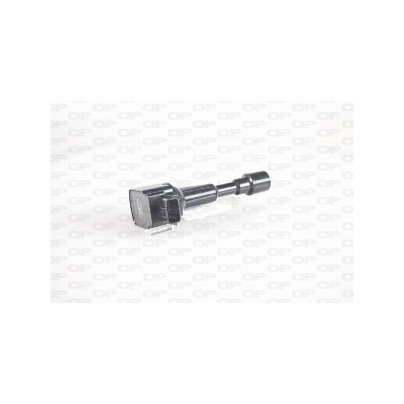 Bobina Accensione IGN1096.00